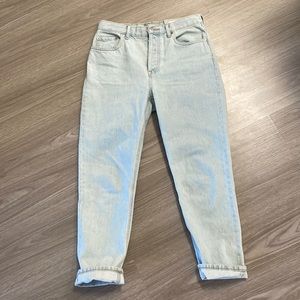 NWT Everlane 90s Cheeky Jean (ankle) Size 27 Crop